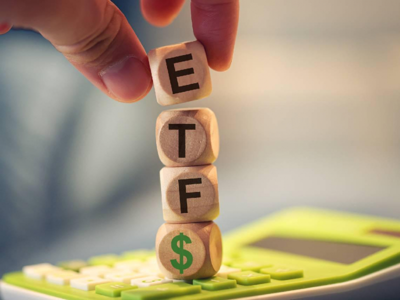 0050、009816選誰好？台股下跌，為何選它更有利？達人3階段加碼策略曝光：本金各100萬怎麼買